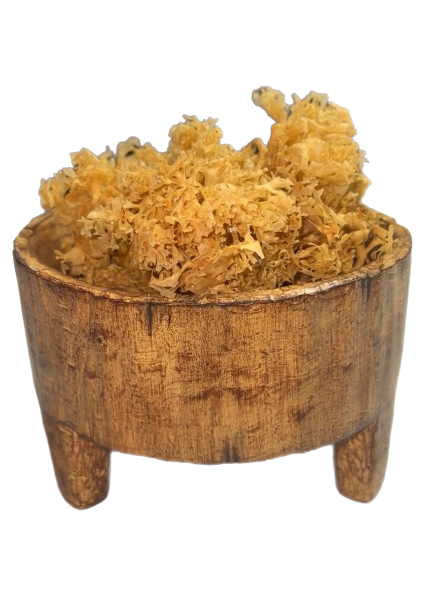 Sea Moss 2oz (Chondrus Crispus)